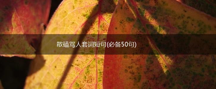 散磕骂人套词短句(必备50句),第1张