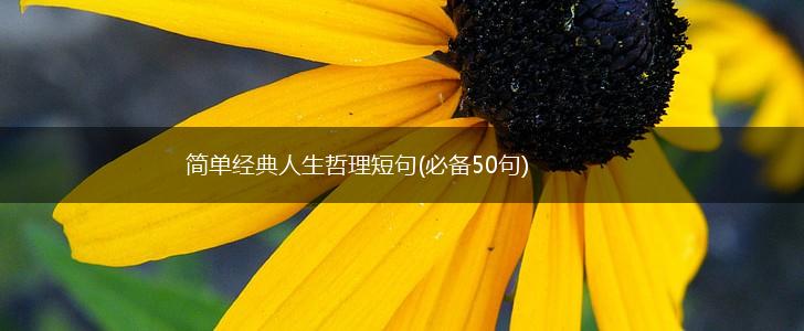 简单经典人生哲理短句(必备50句),第1张