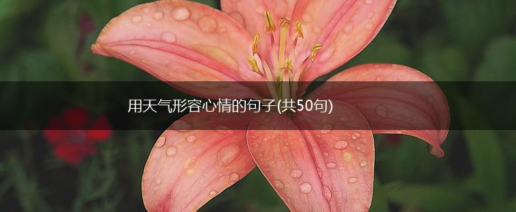 用天气形容心情的句子(共50句),第1张