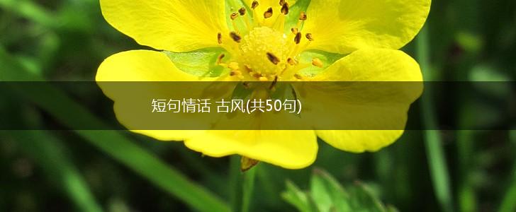 短句情话 古风(共50句),第1张