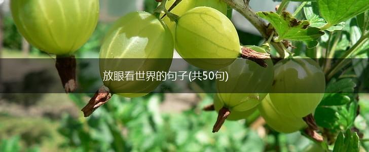 放眼看世界的句子(共50句),第1张