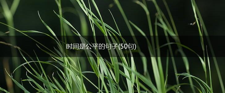 时间是公平的句子(50句),第1张