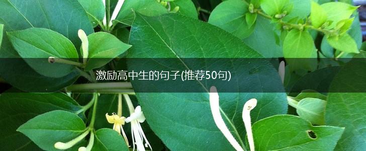 激励高中生的句子(推荐50句),第1张