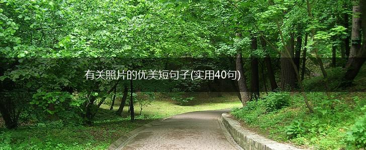 有关照片的优美短句子(实用40句),第1张