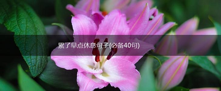 累了早点休息句子(必备40句),第1张