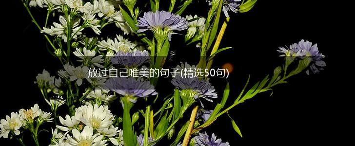 放过自己唯美的句子(精选50句),第1张