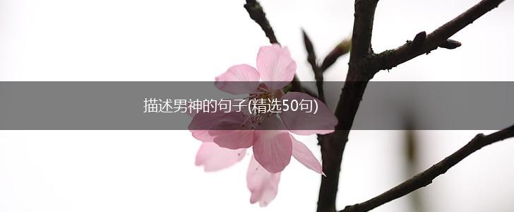 描述男神的句子(精选50句),第1张