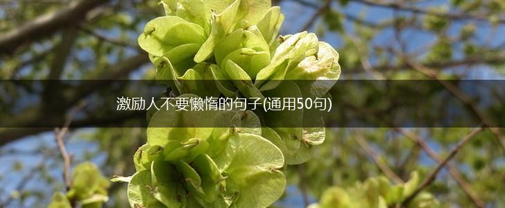 激励人不要懒惰的句子(通用50句),第1张