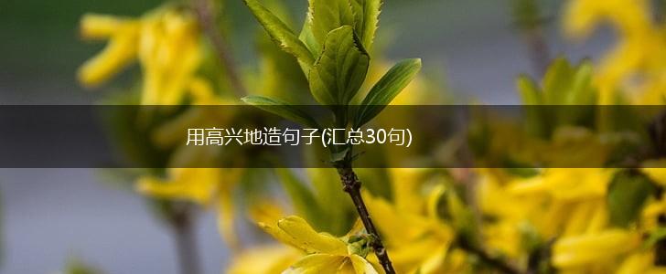 用高兴地造句子(汇总30句),第1张
