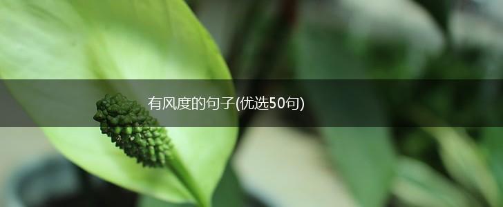 有风度的句子(优选50句),第1张