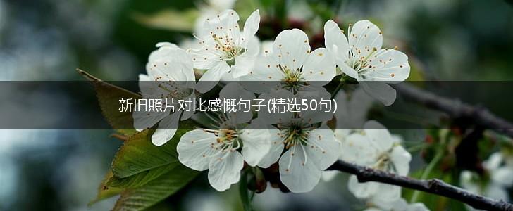 新旧照片对比感慨句子(精选50句),第1张