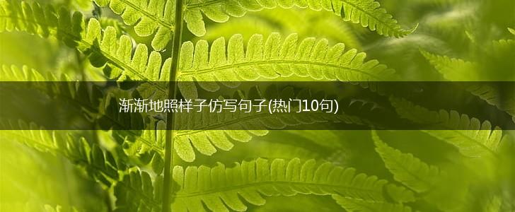 渐渐地照样子仿写句子(热门10句),第1张