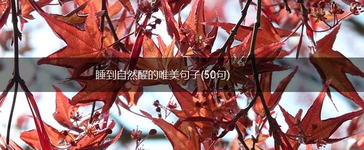 睡到自然醒的唯美句子(50句),第1张