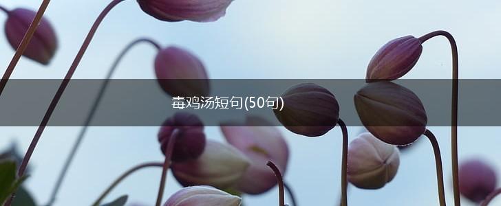 毒鸡汤短句(50句),第1张
