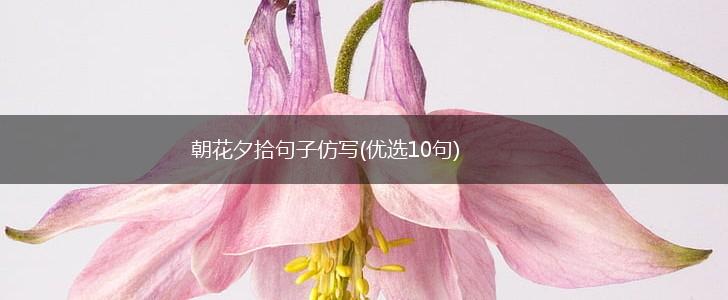 朝花夕拾句子仿写(优选10句),第1张