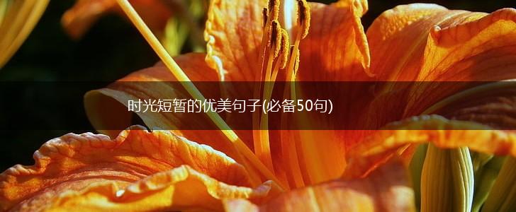 时光短暂的优美句子(必备50句),第1张