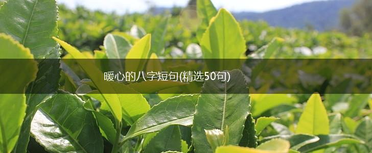 暖心的八字短句(精选50句),第1张 暖心的八字短句(精选50句),第1张