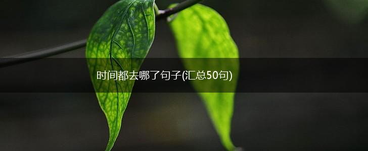 时间都去哪了句子(汇总50句),第1张