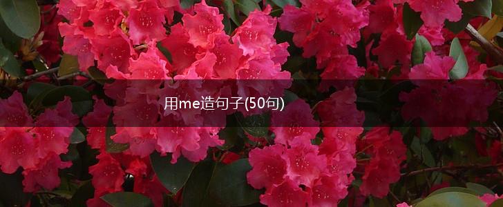 用me造句子(50句),第1张