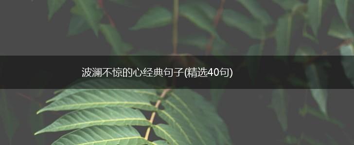 波澜不惊的心经典句子(精选40句),第1张
