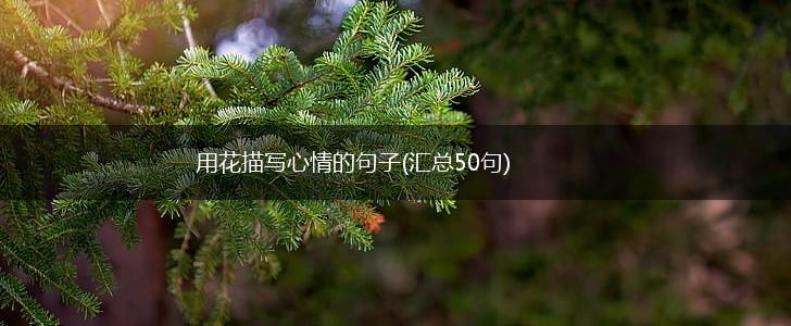 用花描写心情的句子(汇总50句),第1张