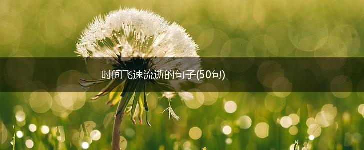 时间飞速流逝的句子(50句),第1张