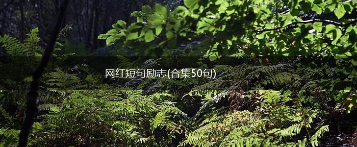 网红短句励志(合集50句),第1张