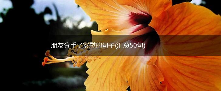 朋友分手了安慰的句子(汇总50句),第1张