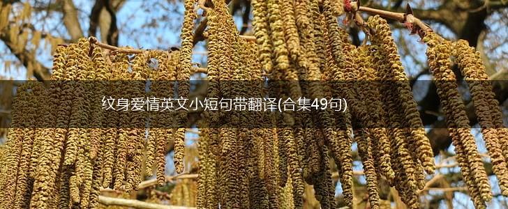 纹身爱情英文小短句带翻译(合集49句),第1张
