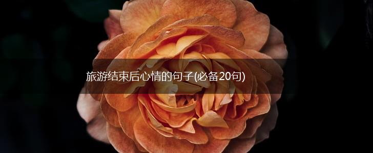 旅游结束后心情的句子(必备20句),第1张
