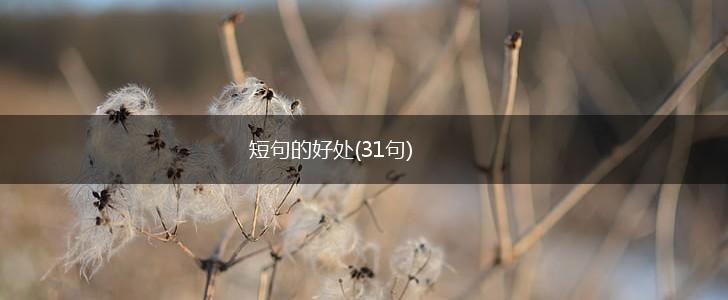 短句的好处(31句),第1张