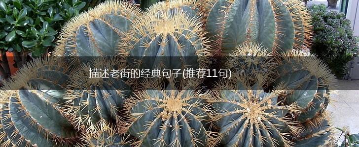 描述老街的经典句子(推荐11句),第1张