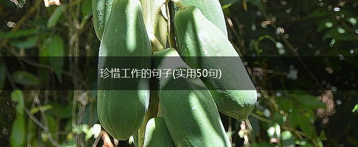 珍惜工作的句子(实用50句),第1张