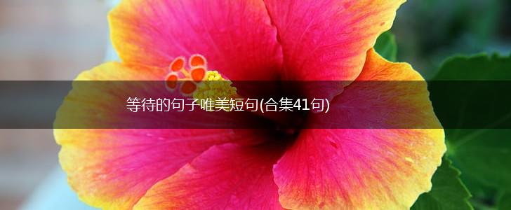 等待的句子唯美短句(合集41句),第1张 等待的句子唯美短句(合集41句),第1张