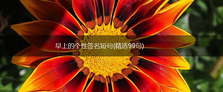 早上的个性签名短句(精选99句),第1张