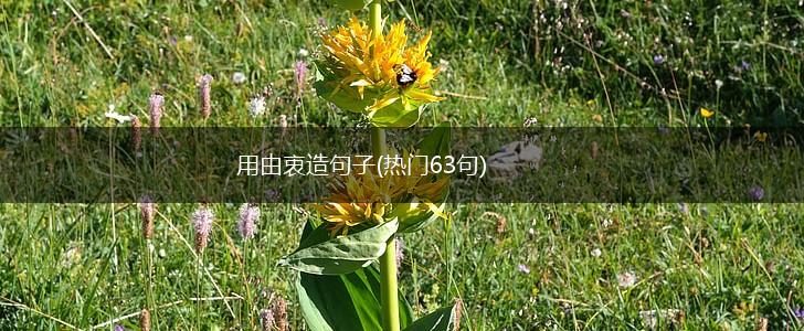 用由衷造句子(热门63句),第1张