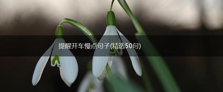 提醒开车慢点句子(精选50句),第1张