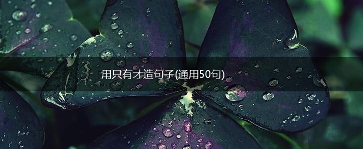 用只有才造句子(通用50句),第1张