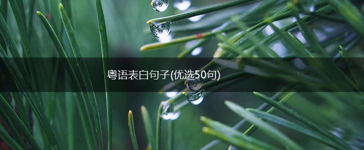 粤语表白句子(优选50句),第1张