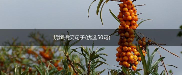 烧烤搞笑句子(优选50句),第1张