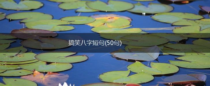 搞笑八字短句(50句),第1张