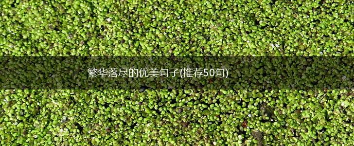 繁华落尽的优美句子(推荐50句),第1张