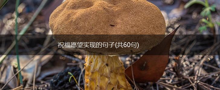祝福愿望实现的句子(共60句),第1张
