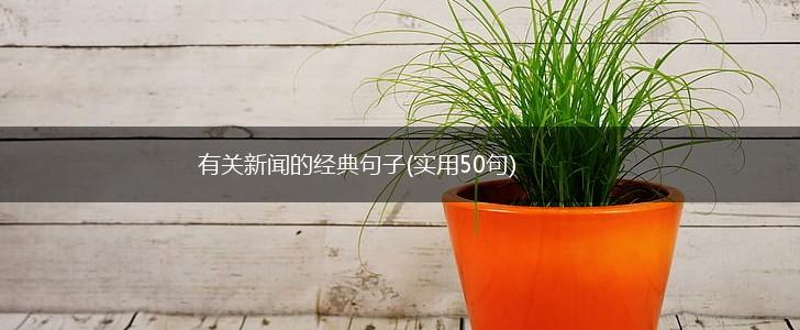有关新闻的经典句子(实用50句),第1张