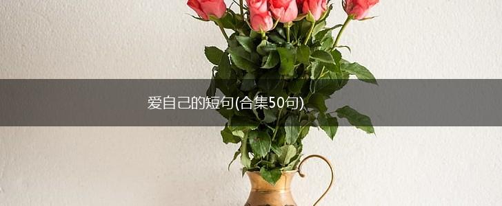 爱自己的短句(合集50句),第1张