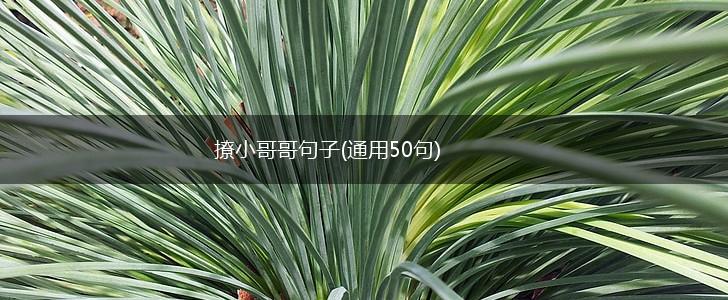 撩小哥哥句子(通用50句),第1张 撩小哥哥句子(通用50句),第1张