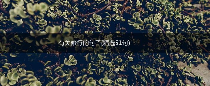 有关修行的句子(精选51句),第1张