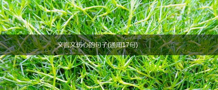 文言文伤心的句子(通用17句),第1张