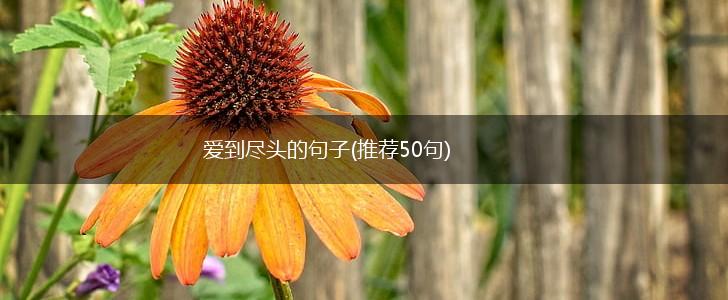 爱到尽头的句子(推荐50句),第1张