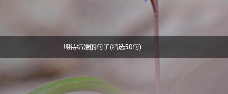 期待结婚的句子(精选50句),第1张